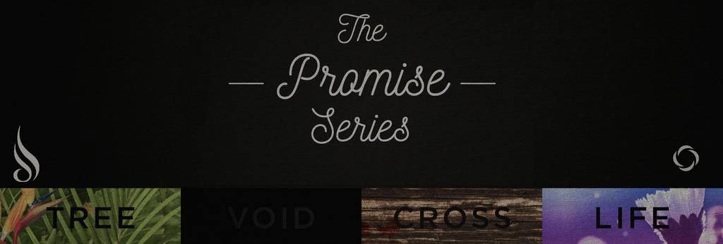 February 5th: No Life Night Super Bowl Sunday *Join us for our NEW February 4-Week Series: The Promise Series: A Life Night Series on the Paschal Mystery February 12th: