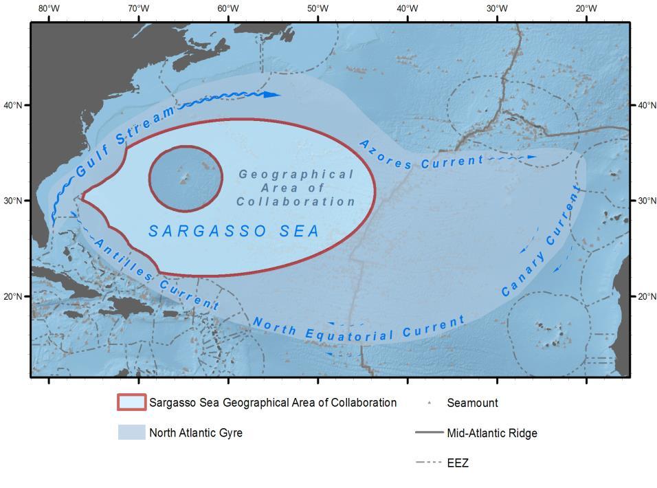 92 OCEAN AND COASTAL LAW JOURNAL [Vol. 21:1-2 Figure 7. Sargasso Sea Commission Site. [Figure 7 shows] the site that we actually have [designated in the Hamilton Declaration] it is a high seas area.