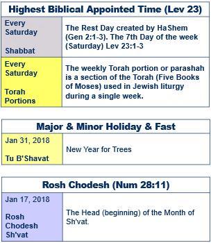 January 2019 21 Jan 2019 7 Jan 2019 The month of Shevat is the second month of the winter season. The tribe corresponding to this months of winter is Asher.