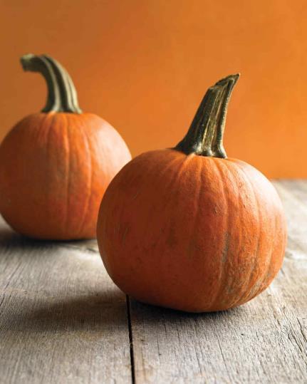 24 th 10:30 a.m. 12:30 p.m. Meeting in the Lounge Pumpkin Decorating Party Sunday, Oct. 29 th after the 10:30 a.m. service Join us in Yeoman Hall where there will be pumpkins waiting to be decorated.