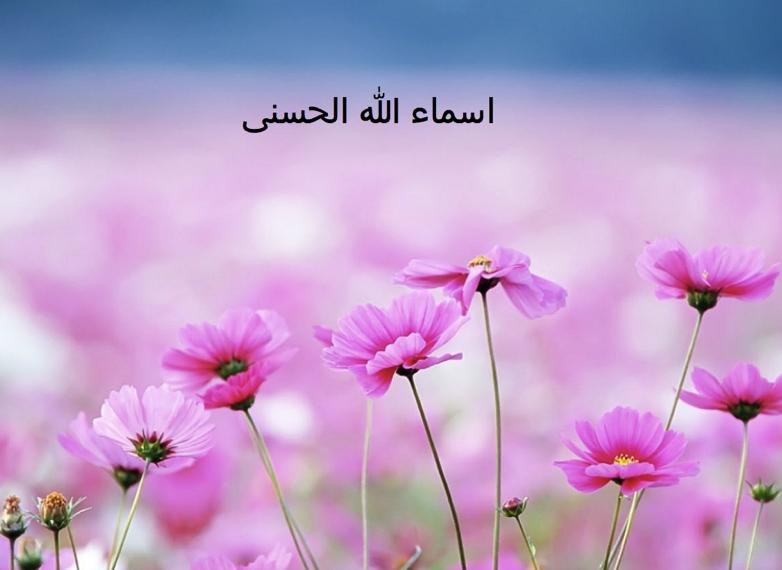 Come Lets renew our faith NAMES OF ALLAH Al Khaliq / Al