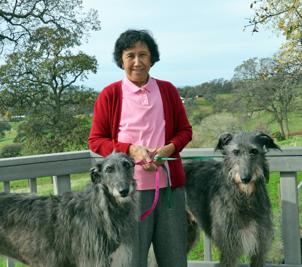 Cecilia Arnold: Giving to the Jesuits By Samantha Bronson Cecilia Arnold has just one canine companion these days a Scottish deerhound named Gwen but there was a time when Arnold and her late