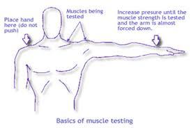 MUSCLE TESTING ANOTHER Muscle Testing - on another person Your muscle testing questions are to be centered around the particular feeling, thought or situation at hand that you want an answer to.