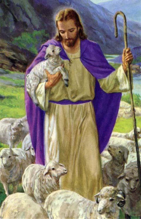 Each of us is one of Jesus sheep we hear his voice, he knows us, and we follow him.