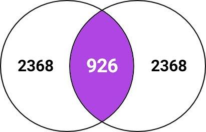 THE VESICA PISCIS OF GENESIS 1:1/JOHN 1:1 Left CIRCLE = Area of 2368 units and right CIRCLE = Area of 2368 units CENTER AREA (between union of two Circles) = The DIFFERENCE between 2701 and 3627