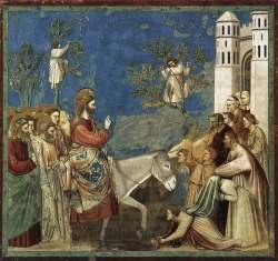 PALM SUNDAY OF THE PASSION OF THE LORD AT THE MASS MARCH 24, 2013 Almighty ever-living God, who as an example of humility for the human race to follow caused our Savior to take flesh and submit to