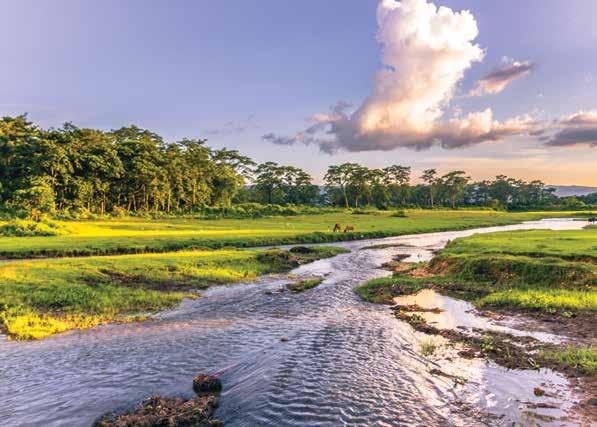 CHITWAN NATIONAL PARK Terms & Conditions Deposit & Final Payment A $1,000-per-person deposit is required to reserve space for this program.