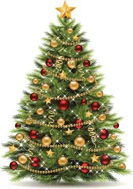 Our tree will be set up in the vestibule the weekend of November 18/19. Please return your unwrapped gifts the weekend of December 9/10 or drop them off at the parish office before.