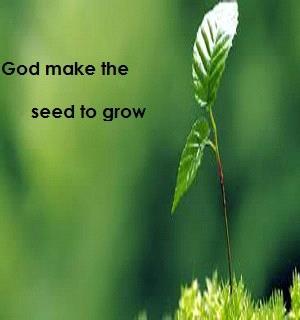 Chapter 6 1 Cor. 3:6 Paul compared himself to Apollos. My job was to plant the seed in your hearts, and Apollos watered it, but it was God, not we, who made it grow.