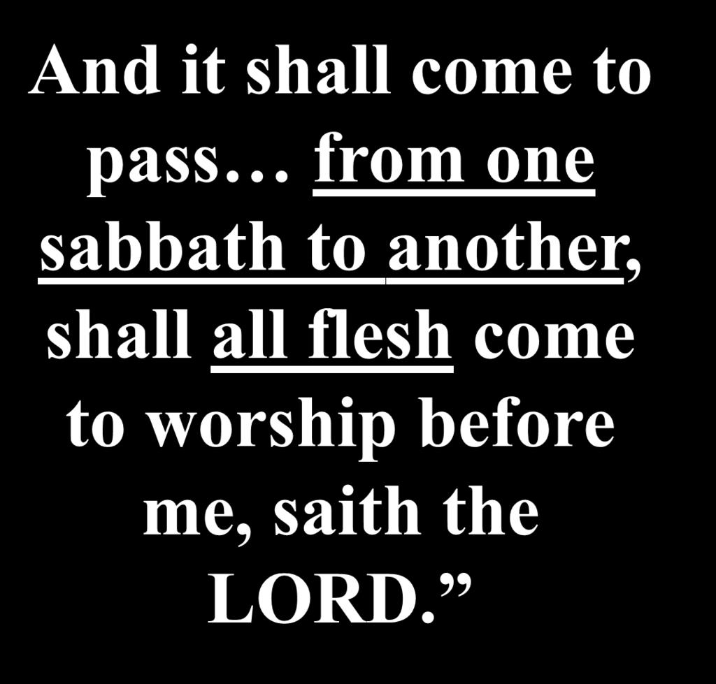 come to worship before me, saith the