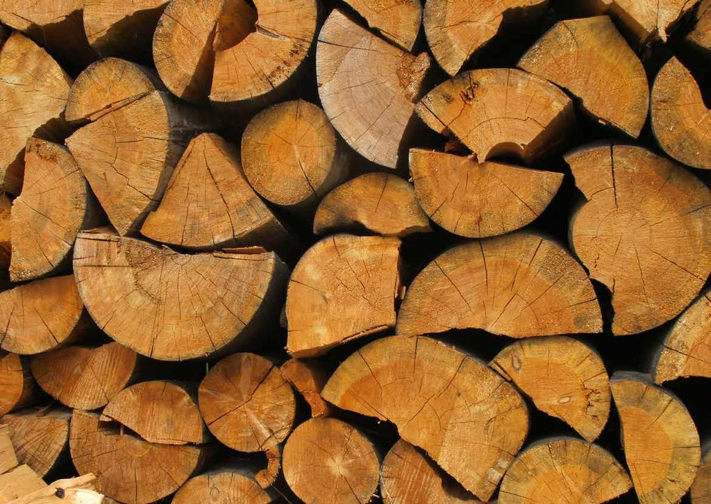 Logs stored for