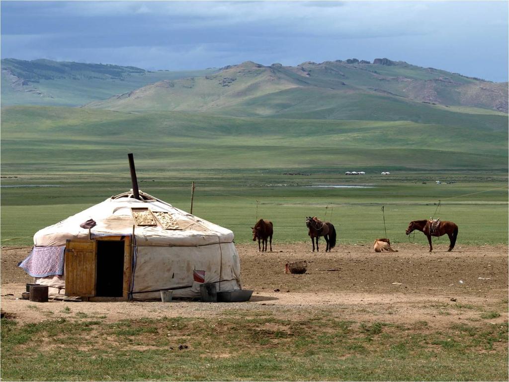 Day 6: Discover Mongolia Terelj NP-Explore landscape Lunch with nomadic family Chinggis Khaan Statue Complex and Bronz age/13th Century Museum