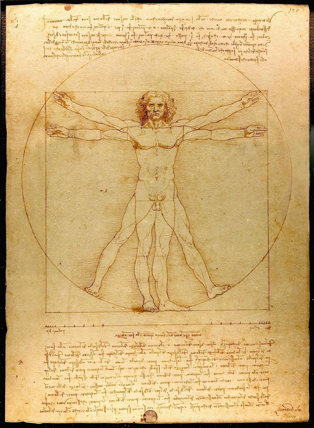 Leonardo Da Vinci, Vitruvian Man (1485 c) man as the measure