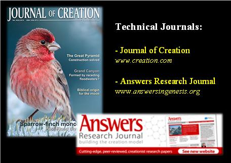 Journal www.answersingenesis.