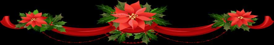 THE POINSETTIAS ARE GIVEN BY THE FOLLOWING FAMILIES: Morris Palle, Brian, Kimberly and Luke Mefford in loving memory of Delores Palle and Eldred and Caroline Haney Richard and Nancy Ayer in
