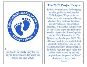 Get Involved in the 20/20 Project Ban Late Term Abortions by 2020 Choral Mass Schedule Immaculate Conception Friday, December 8, 7:30 PM Christmas Midnight