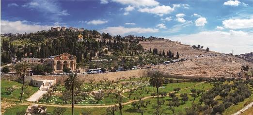 Palace known today as St. Peter in Gallicantu where St. Peter once denied Our Lord in one of its courts. This afternoon, travel to Ein Karem to visit the Church of St.
