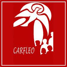 CARLEO on the Internet carfleo.