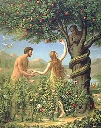 Original Sin O The sin of Adam & Eve O The first sin O How sin entered the world O The