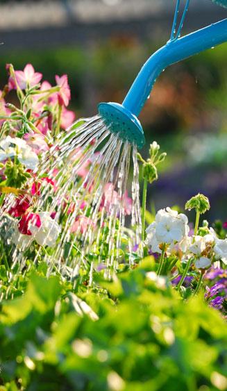 HAPPY SPRING! As you get your garden ready for the season, the landscape committee is doing the same to get the church and school ready.