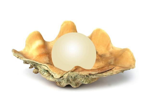 The pearl was esteemed by the ancients as one of the greatest valued gems.