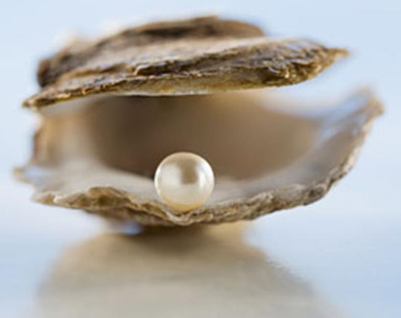 The pearl is formed out of pain when a grain of sand is trapped in an oyster, causing irritation.