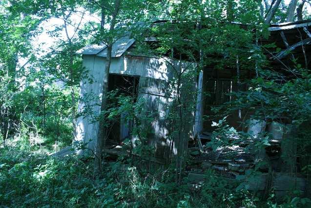 As I continued my walk past the now fallen tool shed, I saw straight the side of the old barn. It was overgrown with brush and trees and was told that it had long been abandoned and not used.