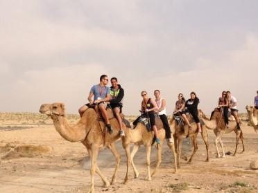 Next, we travel to Genesis Land for a special desert hospitality and camel ride and unique Lunch experience.