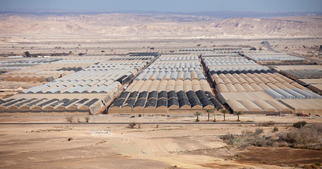 Sunday, December 16 Arava Following breakfast and hotel checkout, depart for the Arava, located along the Jordanian border between the Dead Sea and the Red Sea this is one of the most remote parts of