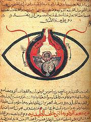 Islamic Golden Age (c. 700-1200 A.D.) Literature: Arabian Nights (10 th c.