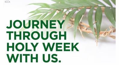 PASTORAL LEADER S NOTES Dear Parishioners, Today we gather on this Palm Sunday weekend to begin HOLY WEEK a week we enter with reverence, a week of demands that we embrace with