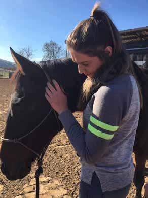 Community Partnerships, and YOU! FEATURING: Abundant Life Ranch - Horse Therapy Abundant Life Ranch is a non-profit organization using horses to teach important lessons of relational health (e.g., communication, trust, and respect, etc.