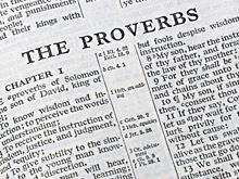 The Book of Proverbs is a beehive for us because it tells us all about wisdom.