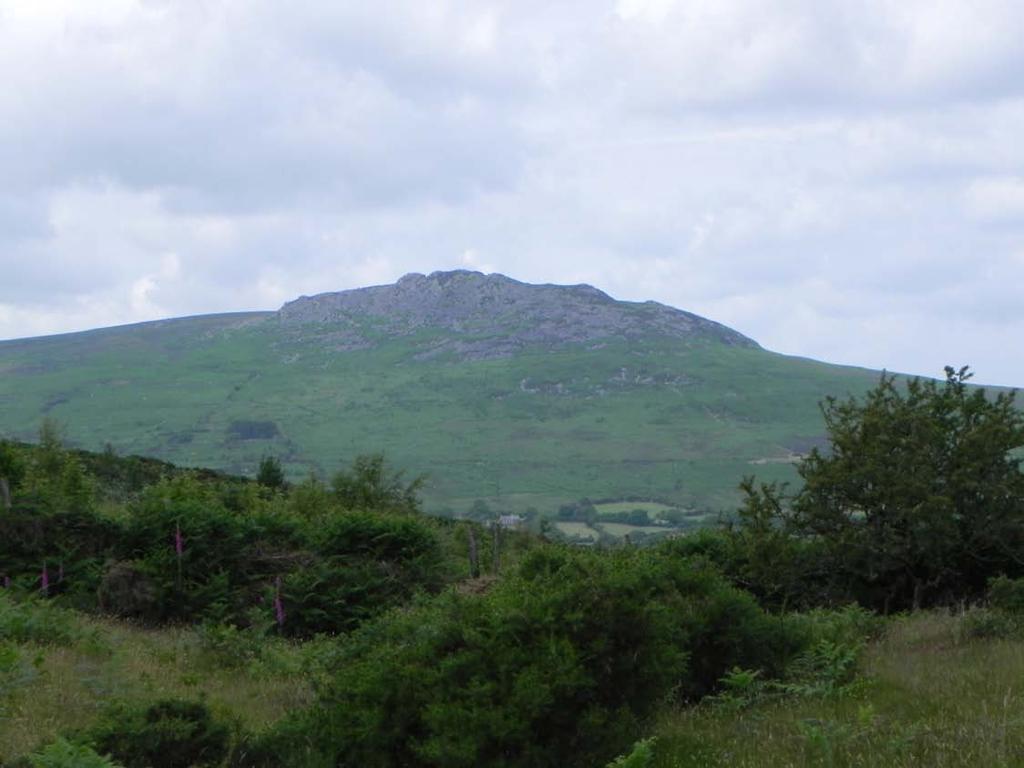 Carn Ingli Mountain from Ty Canol Carn Ingli is also called the Hill of Angels.