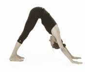 4. Catvari: Exhale while pressing the hands into the floor, sending the legs back and lowering into caturanga dandasana. Gaze at the tip of the nose. 5.