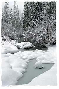 Stillness Snow can never emit flame. Water can never issue fire. A thorn bush can never produce a fig.