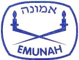 Emunah World Religious Zionist Women s Organisation Susan Boltin, President During 2013 Emunah continued its involvement in a wide range of projects.