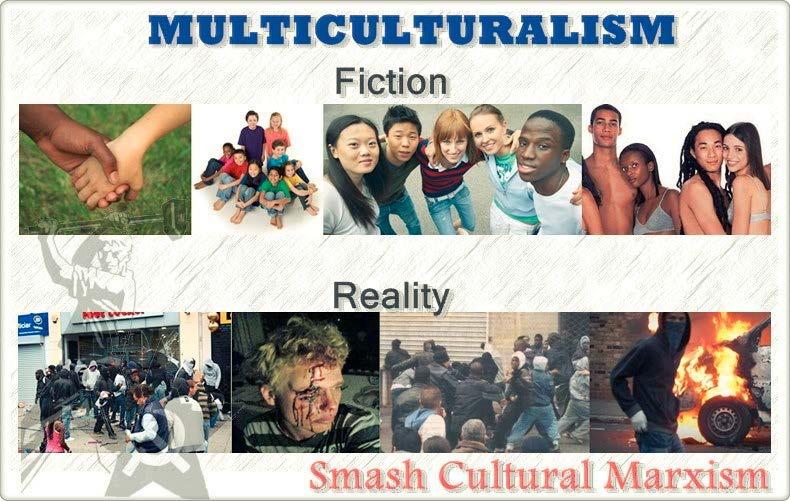 Hoffman and Graham identify four key distinctions in defining multiculturalism. 1.