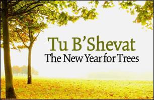 TuB Shvat begins Friday, February 10th at Sundown. It is traditional to plant trees in Israel on this holiday.