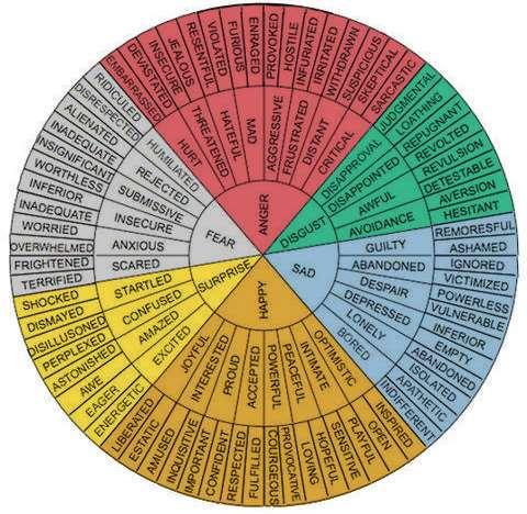 Emotions Wheel Use the wheel to broaden your vocabulary.