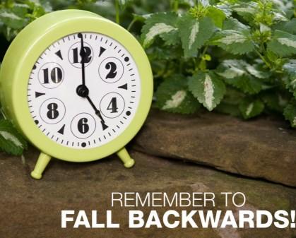 Youth and adults are welcome to join us (students can earn community service hours at the Pantry). Daylight savings time ends on Sunday, November 5. Remember to turn your clocks back one hour.