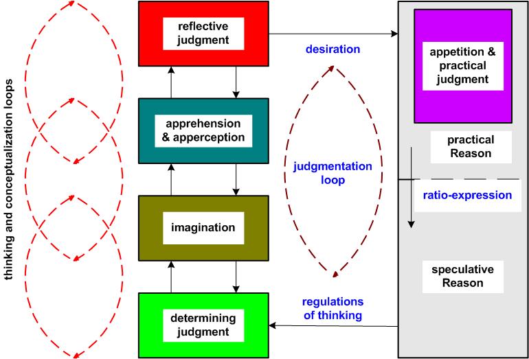 Figure 3.7: The thinking and judgmentation structure of nous. Compare this illustration with figure 3.6.
