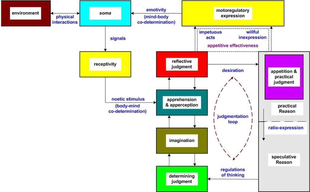 Figure 3.2: The general mental structure and organization of the Organized Being.
