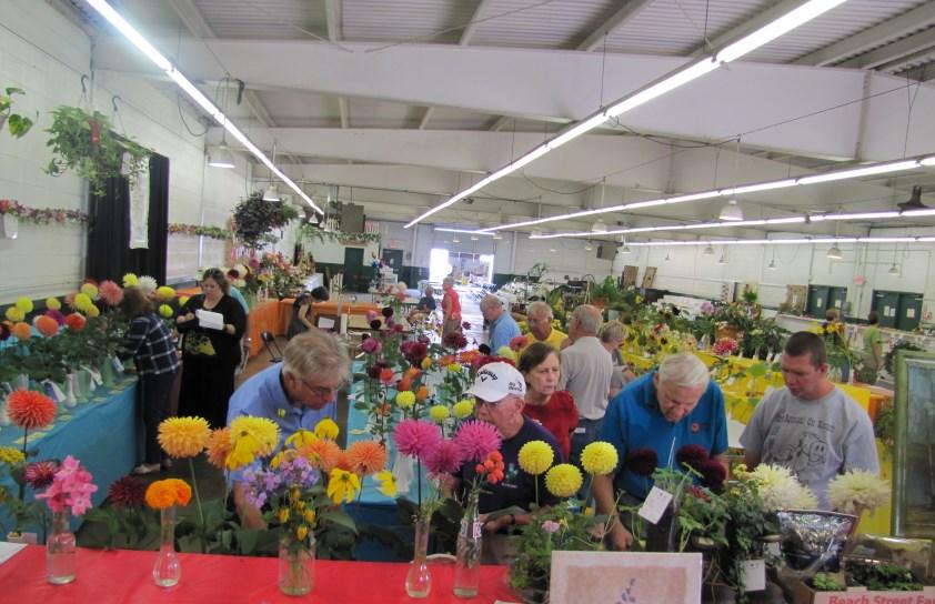 the Cuyahoga Fair. Many of our usual exhibitors will be at the 50 th Anniversary Show in Columbus. We will need blooms to fill up the show tables!