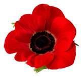 Remembrance Sunday 11 th November Ropsley Church 10 am Service of