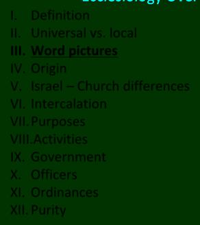 Ecclesiology Overview I. Definition II. Universal vs. local III.