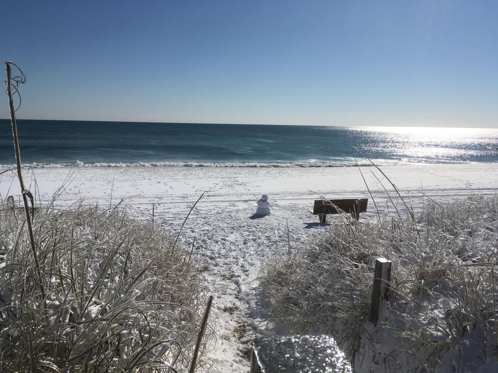 January started out snowy, cold, and icy... Ice on the sea oats. Snowman on the beach!