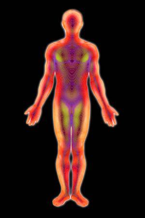 This is the first body DISCERNMENT there will be more. The body photo is a fairly good example of the general Spirit Energy link-systems in the human anatomy.