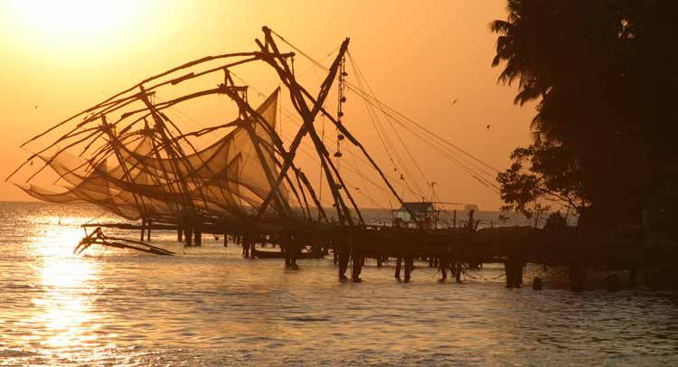 The intricate Chinese fishing nets in Cochin Palliative Care and Care for the Elderly are developing within the distinctive structures of South Indian society and family life.