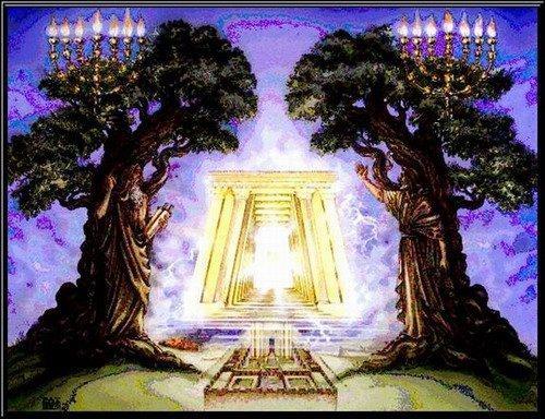 Revelation Chapter 11 Revelation Made Simple Revelation Time Line STUDY: THE BITTER BOOK AND THE TWO WITNESSES THE TWO WITNESSES 11:1 And there was given me a reed like unto a rod: and the angel
